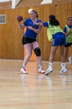 Bild 214 - wBJ TSV Ellerau - HSG Stoertal Hummeln : Ergebnis: 26:19